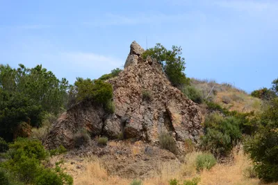 DSC_1963 (Large).JPG